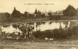 Le Girmont-Val-d'Ajol. - Etang du Dropt (Vaches)